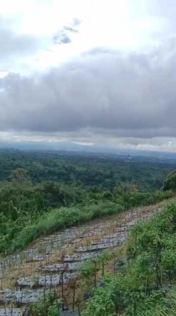 dijual tanah pinggir jalan raya