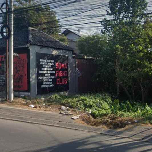 dijual tanah raya canggu