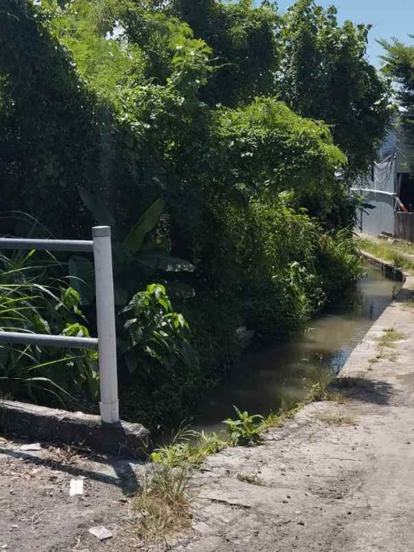 dijual tanah raya canggu