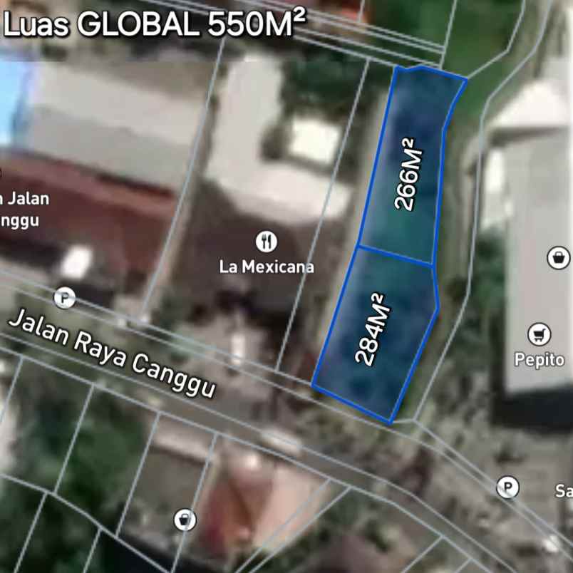 dijual tanah raya canggu