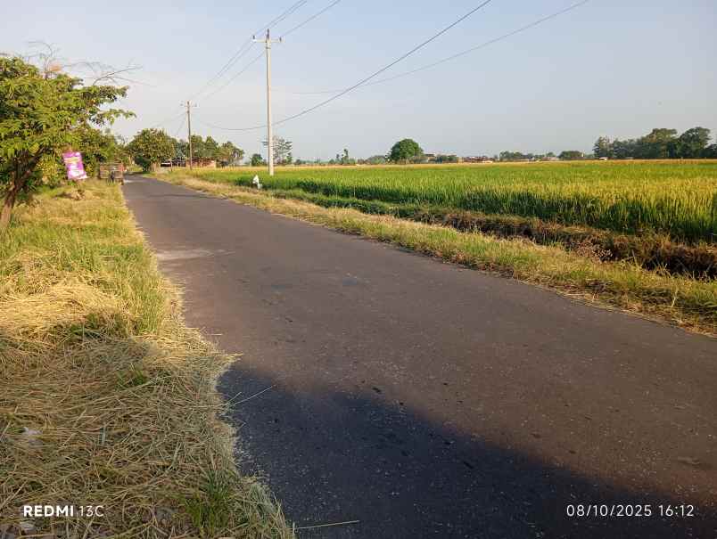 dijual tanah sawit boyolali