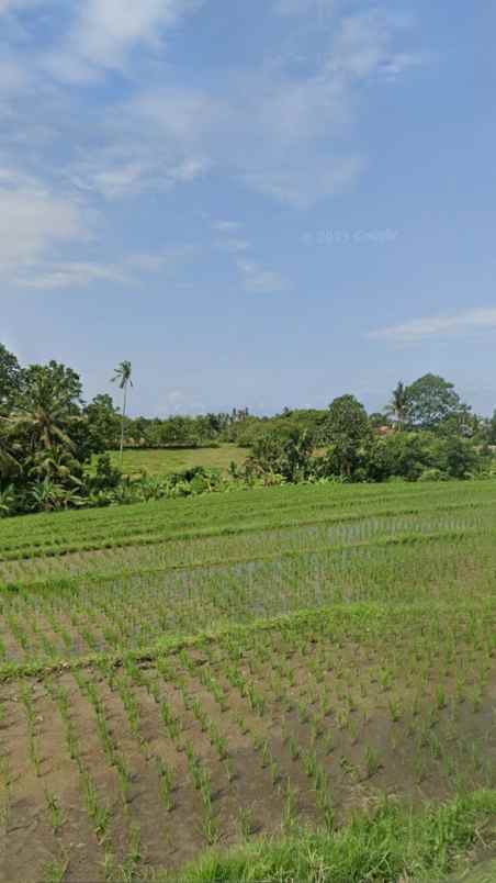 dijual tanah selemadeg barat tabanan bali
