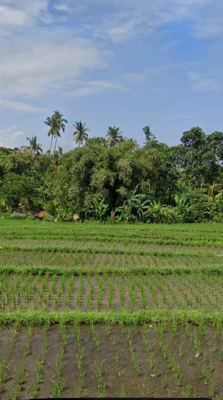 dijual tanah selemadeg barat tabanan bali