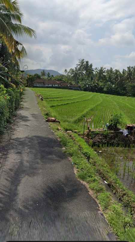 dijual tanah selemadeg barat tabanan bali