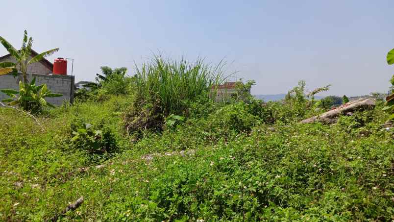 dijual tanah sendangmulyo