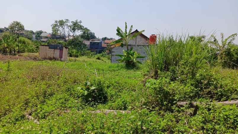dijual tanah sendangmulyo