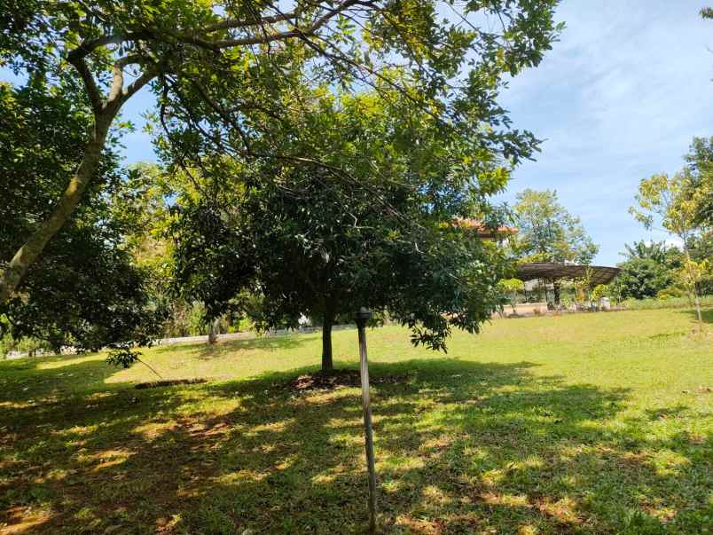 dijual tanah serua indah