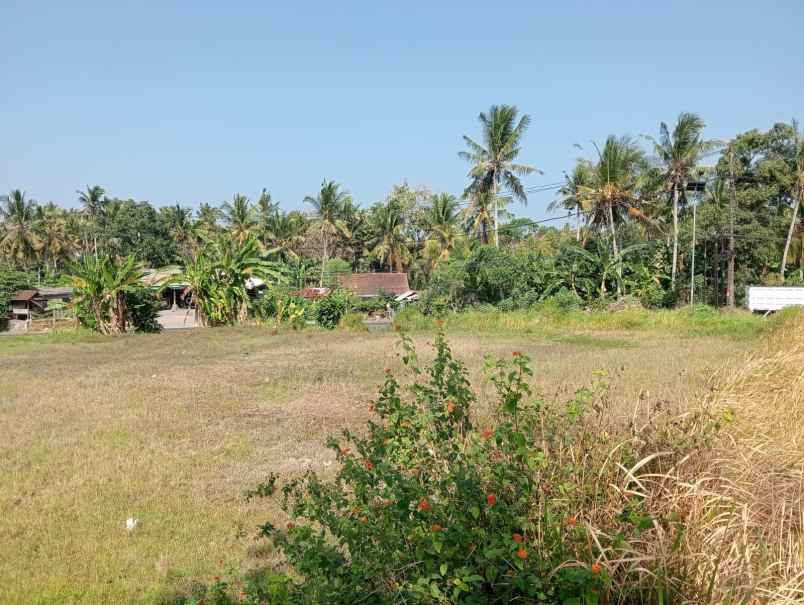 dijual tanah strategis dengan view sawah dan bukit