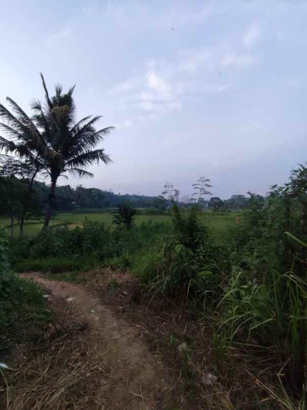 dijual tanah strategis di gunung sari citeureup