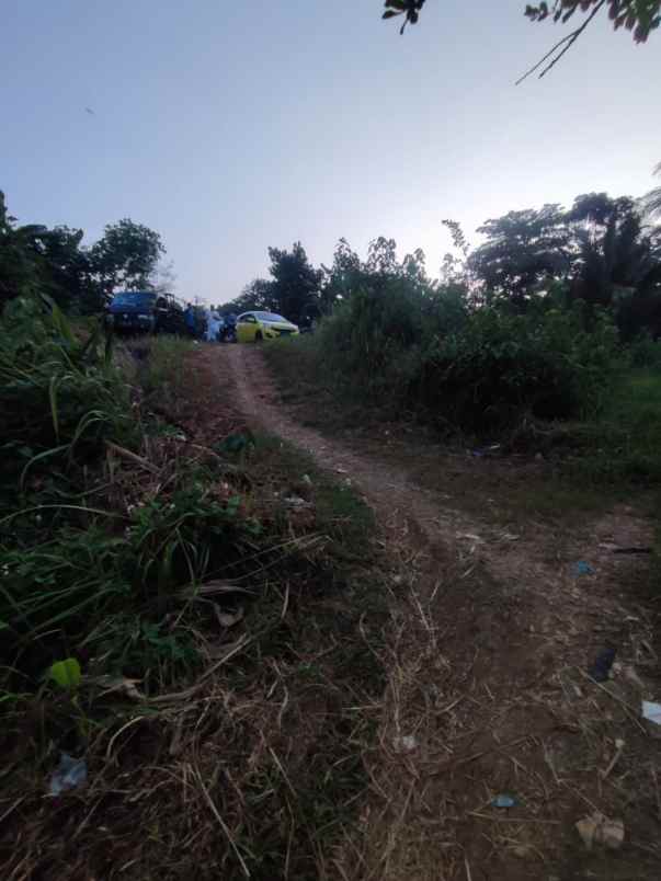 dijual tanah strategis di gunung sari citeureup