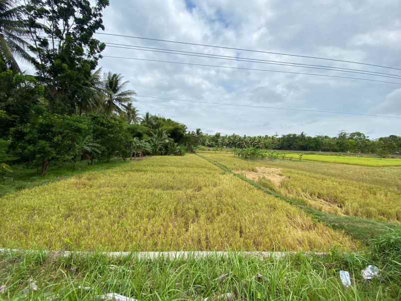 dijual tanah strategis di purworejo jawa tengah