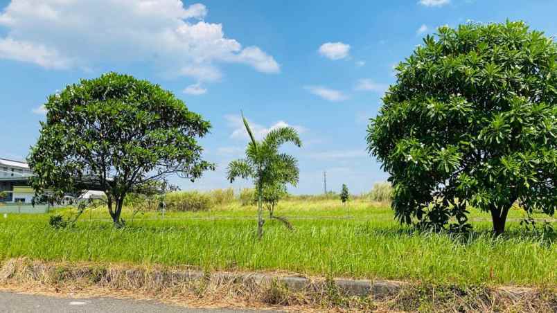 dijual tanah suryacipta karawang