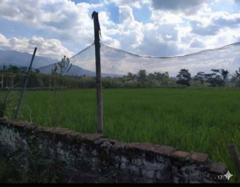 dijual tanah tanjungwangi pacet