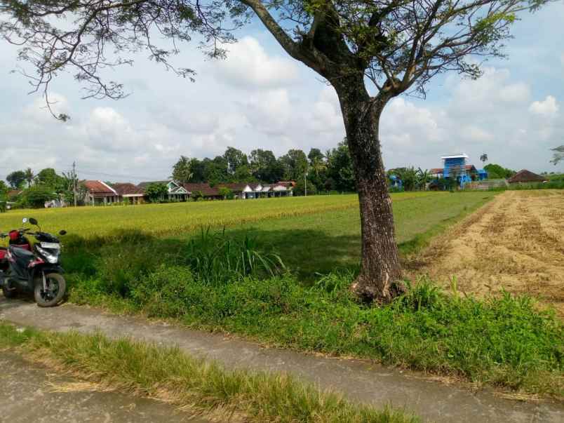 dijual tanah taskombang manisrenggo