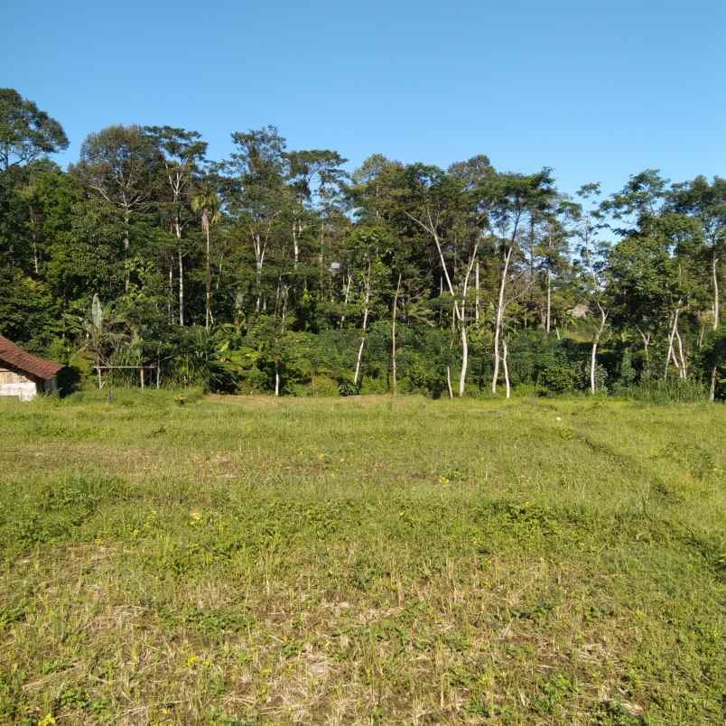 dijual tanah trawas view gunung penanggungan dan sawah