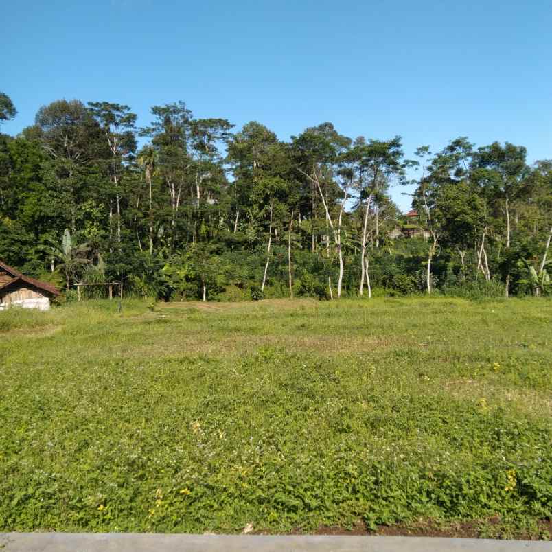 dijual tanah trawas view gunung penanggungan dan sawah