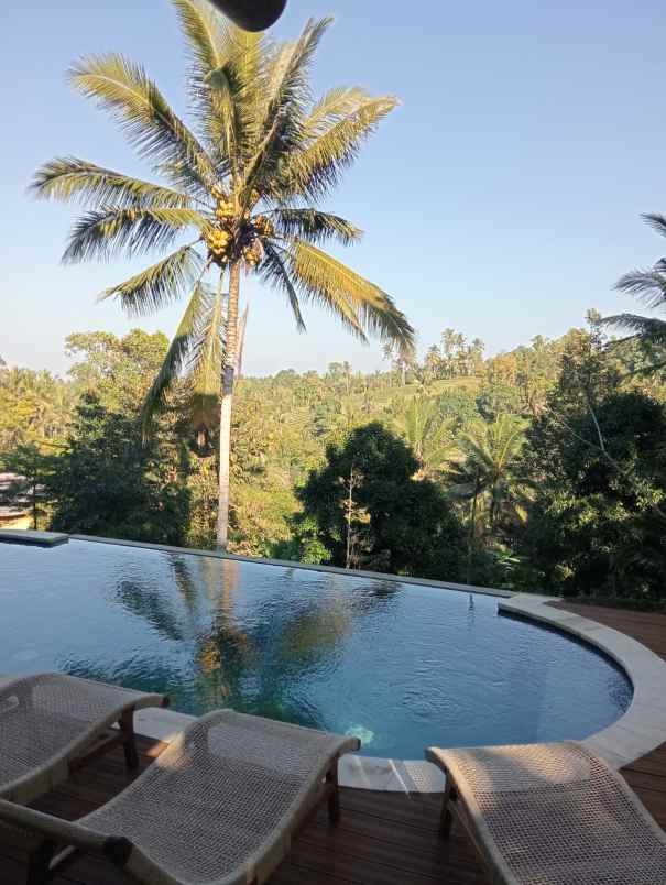dijual villa eksklusif view sawah yang asri