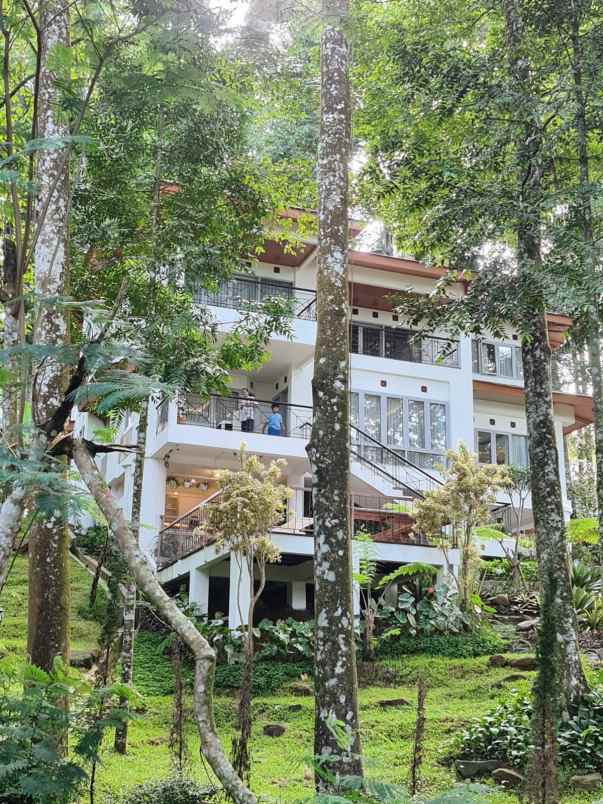 dijual villa jl mega mendung puncak