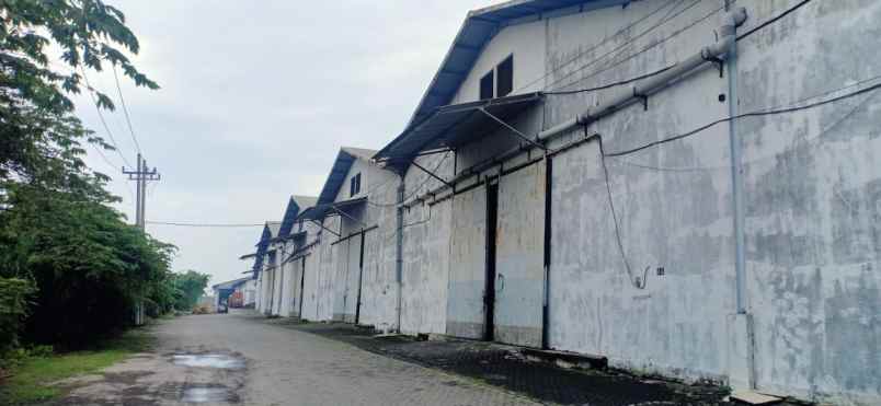 disewakan gudang di tambak langon surabaya