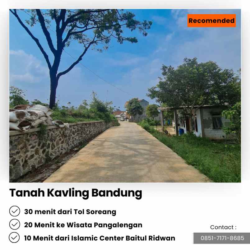 jual kebun cengkeh 200 pohon