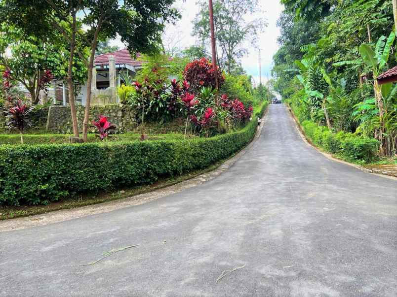 jual rumah bonus kebun durian karangpandan karanganyar