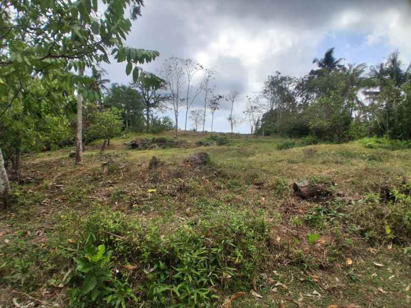 jual tanah kebun murah dekat pantai soka tabanan