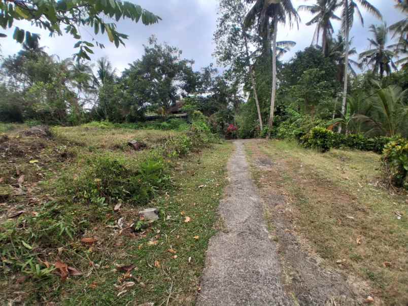 jual tanah kebun murah dekat pantai soka tabanan