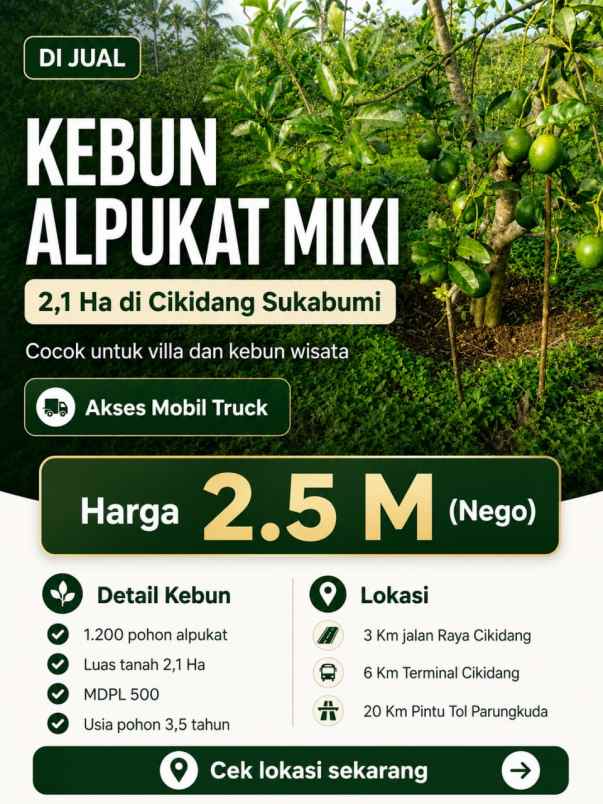 kebun alpukat miki 2 ha di cikidang sukabumi