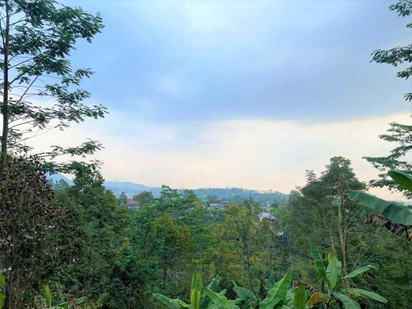 kebun durian 1300m2 kemuning ngargoyoso karanganyar