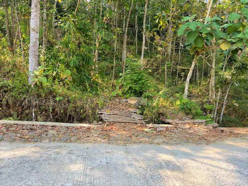 kebun jati murah utara kantor kecamatan kerjo