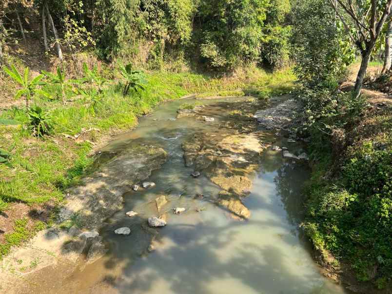 kebun jati murah utara kantor kecamatan kerjo
