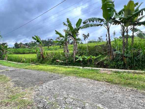 rumah joglo istimewa bonus ruko karanganyar