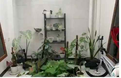 rumah perumahan kedung badak