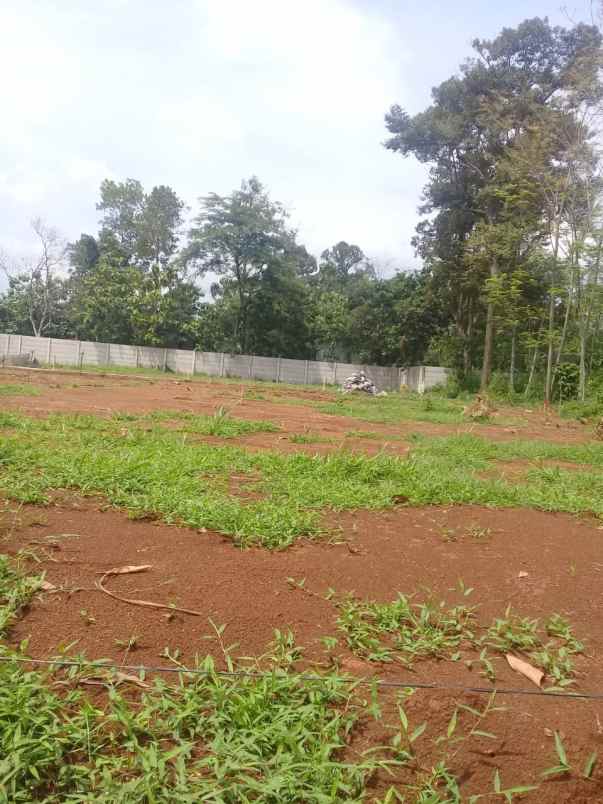 rumah sasak meteseh boja