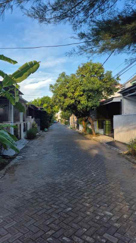 rumah siap huni di grand semanggi minimalis modern