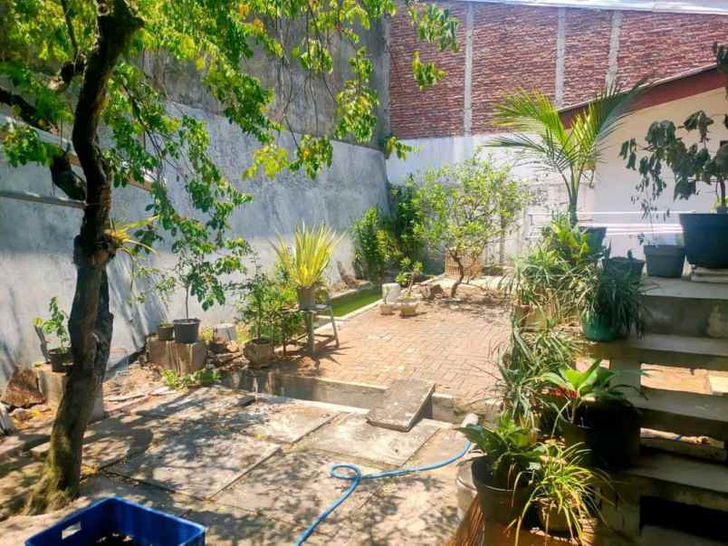 rumah tempat usaha candisari semarang