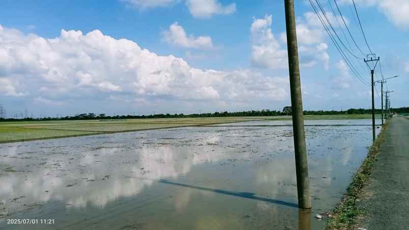 tanah 50 hektar cikarang bekasi