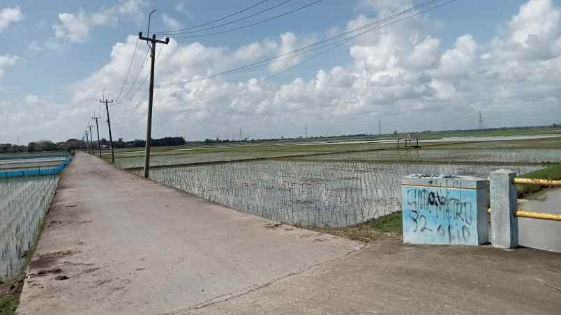 tanah 50 hektar cikarang bekasi