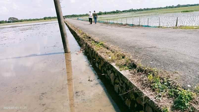 tanah 50 hektar cikarang bekasi