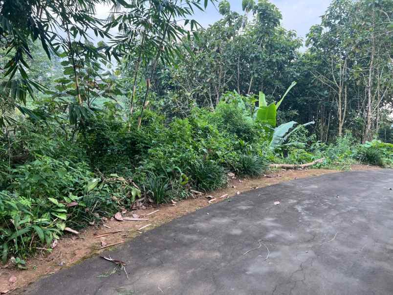 tanah 75 juta kawasan wisata ngargoyoso