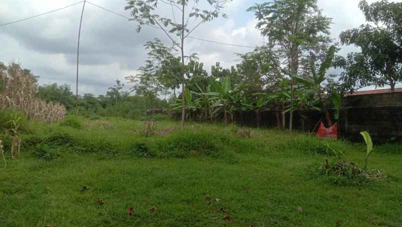 tanah ajibarang siap bangun