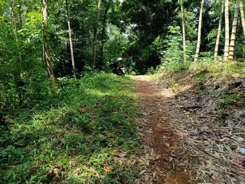tanah barat pasar mojogedang