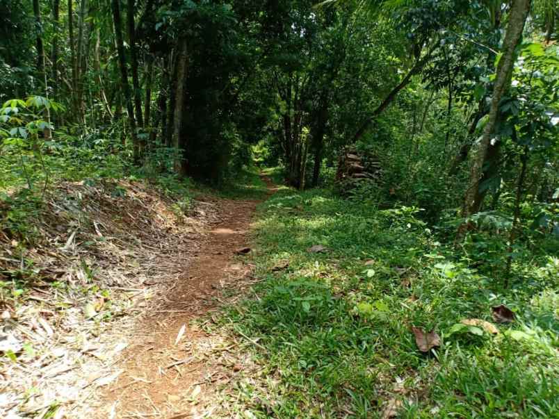 tanah barat pasar mojogedang