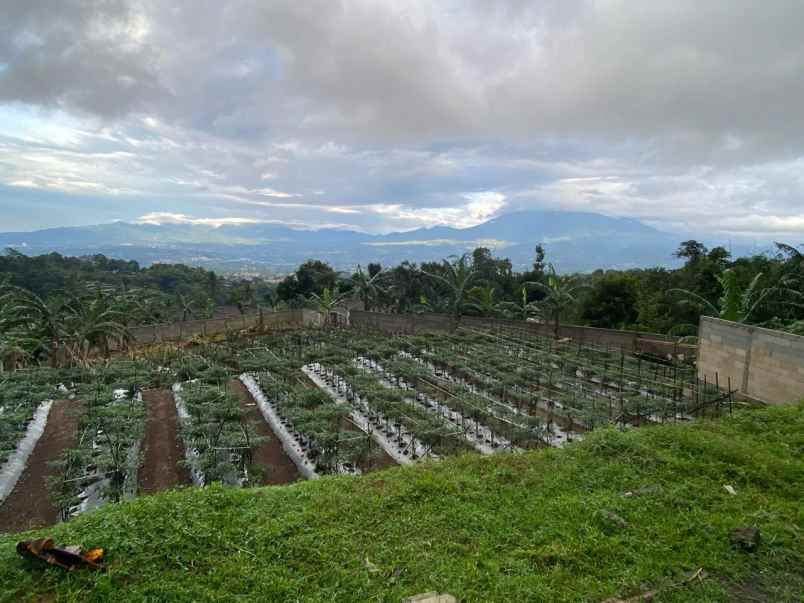 tanah cijeruk sudah shm view mantap
