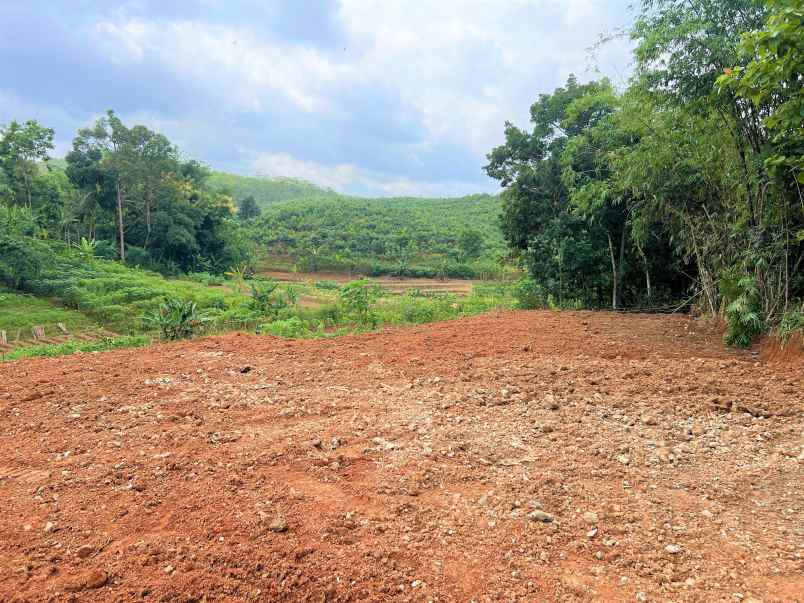 tanah datar 1685m 325jt mojogedang karanganyar