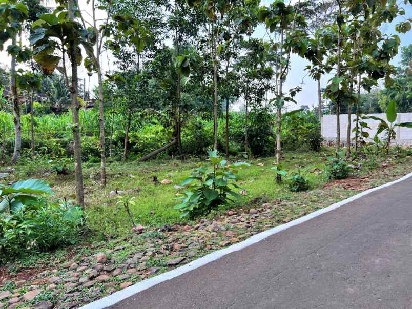 tanah datar strategis hanya 65 juta kerjo karanganyar