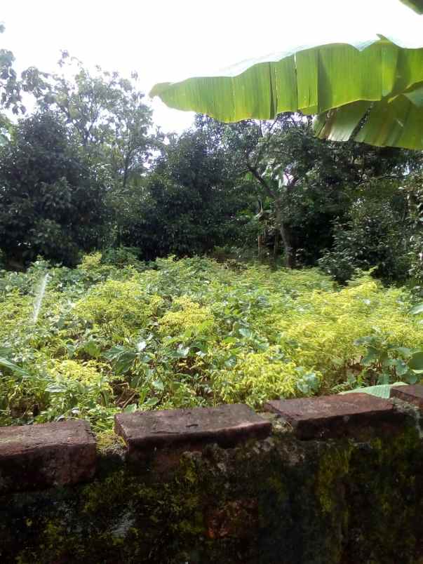 tanah di leuwiliang kabupaten bogor ada bangunan kayu