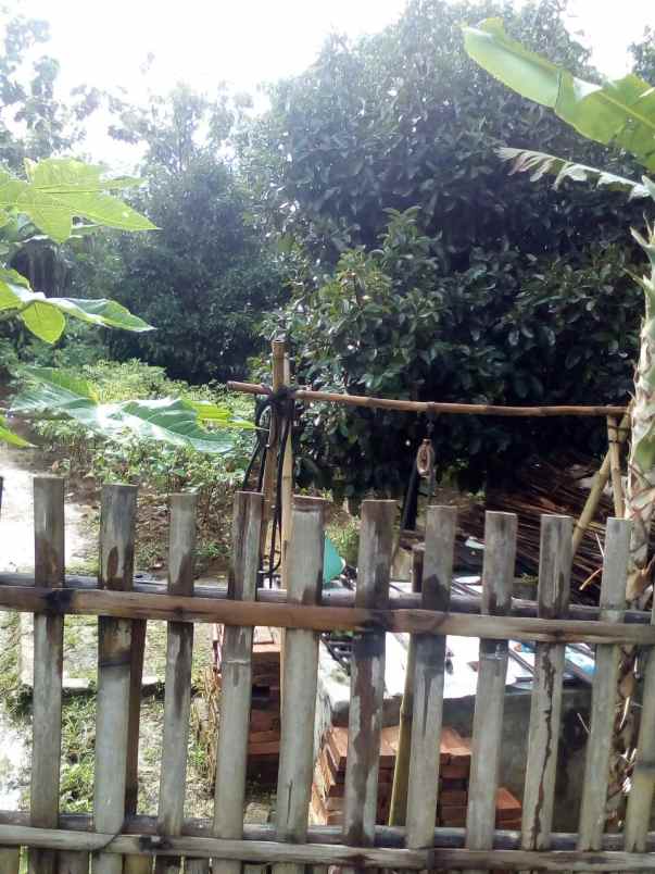 tanah di leuwiliang kabupaten bogor ada bangunan kayu