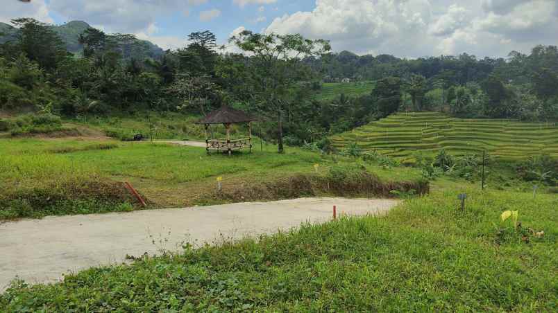 tanah di pinggir jalan sukamakmur puncak 2 bogor