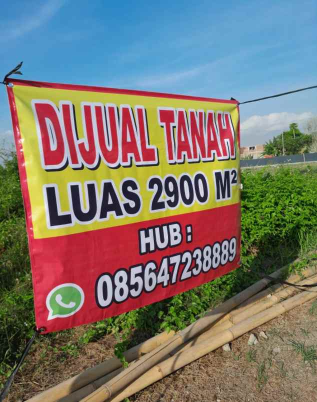 tanah elegan dua muka